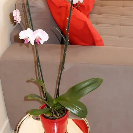 & Sea Apt, Fast Wifi, Airco, Private Parking And Pool *